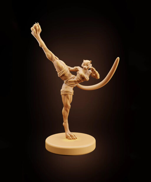 Kung Fu Kitty Clothed 3D Sculpt